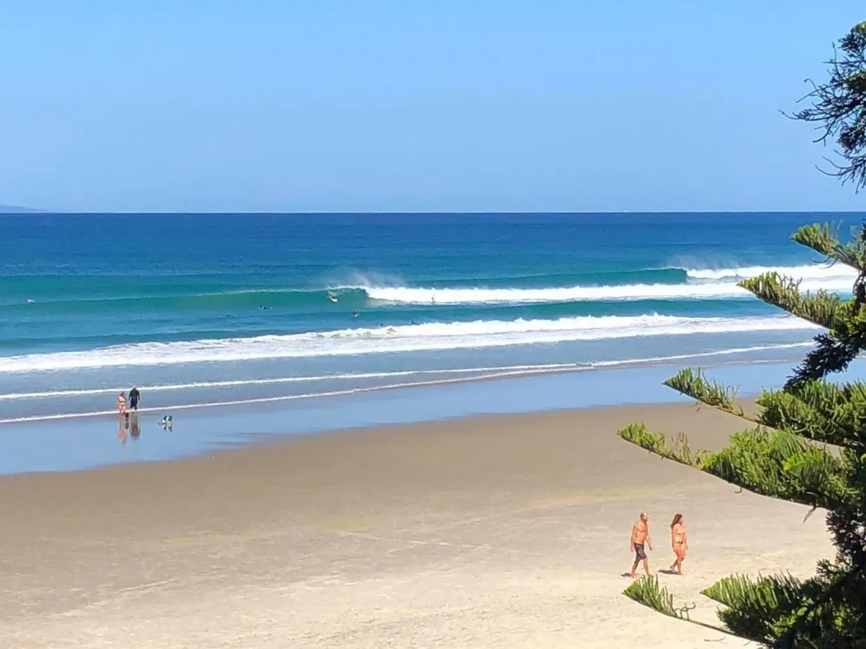 Clean autumn surf peeling at Forestry