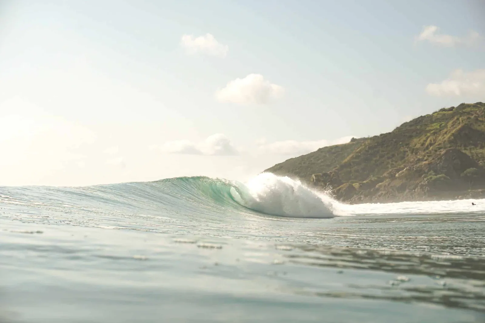 Perfect empty wave peeling in Northland